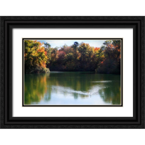 Swans on the Lake II Black Ornate Wood Framed Art Print with Double Matting by Hausenflock, Alan