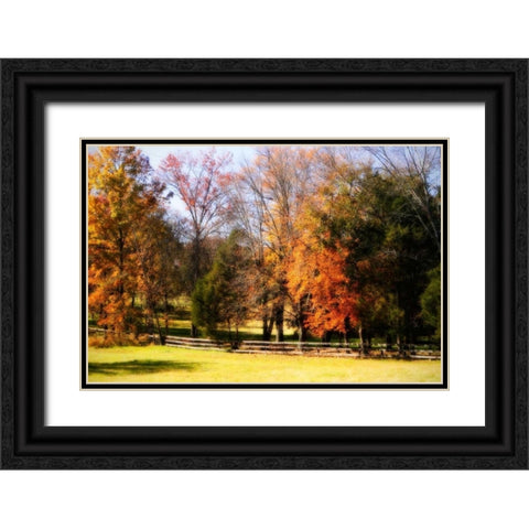 Keswick Pasture II Black Ornate Wood Framed Art Print with Double Matting by Hausenflock, Alan