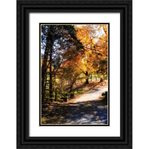 Autumn on Kent Farm III Black Ornate Wood Framed Art Print with Double Matting by Hausenflock, Alan