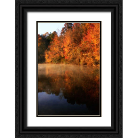 Autumn Mist II Black Ornate Wood Framed Art Print with Double Matting by Hausenflock, Alan