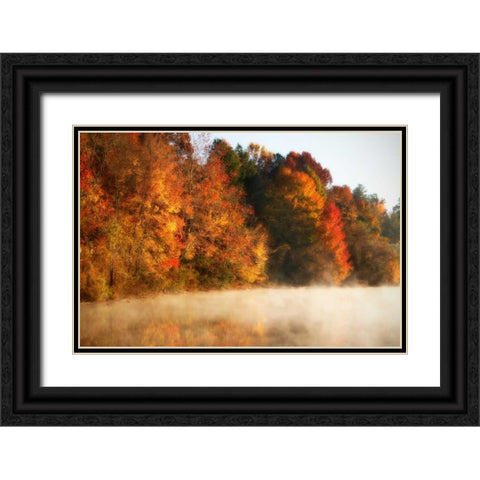 Autumn Mist III Black Ornate Wood Framed Art Print with Double Matting by Hausenflock, Alan