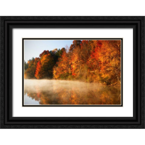 Autumn Mist IV Black Ornate Wood Framed Art Print with Double Matting by Hausenflock, Alan