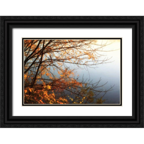 Leaves of Orange I Black Ornate Wood Framed Art Print with Double Matting by Hausenflock, Alan