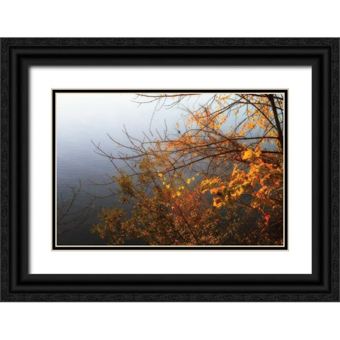 Leaves of Orange II Black Ornate Wood Framed Art Print with Double Matting by Hausenflock, Alan