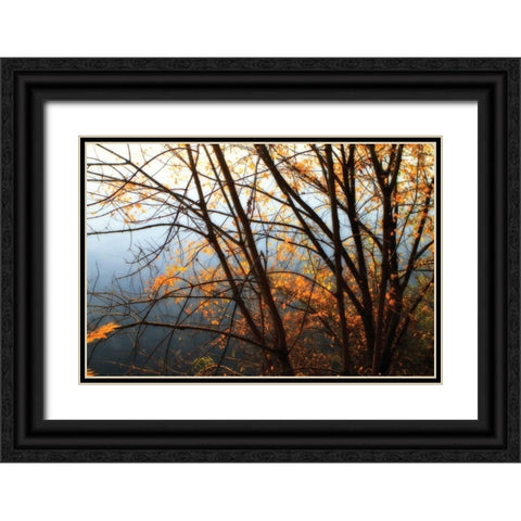 Leaves of Orange IV Black Ornate Wood Framed Art Print with Double Matting by Hausenflock, Alan