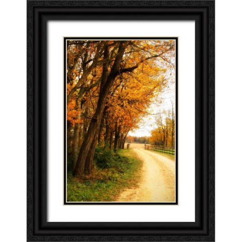 Gray Skies II Black Ornate Wood Framed Art Print with Double Matting by Hausenflock, Alan