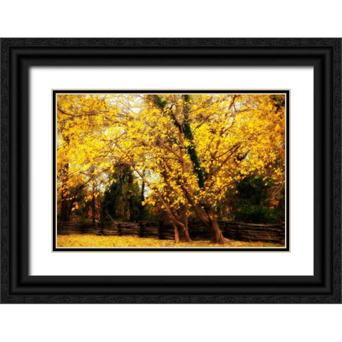 Split Rail Fence III Black Ornate Wood Framed Art Print with Double Matting by Hausenflock, Alan