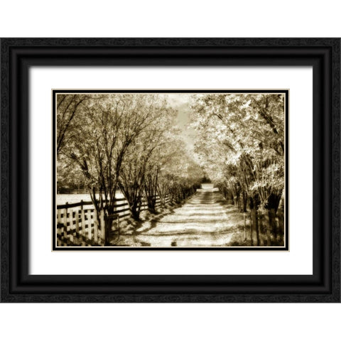 Glen Allen Farm I Black Ornate Wood Framed Art Print with Double Matting by Hausenflock, Alan