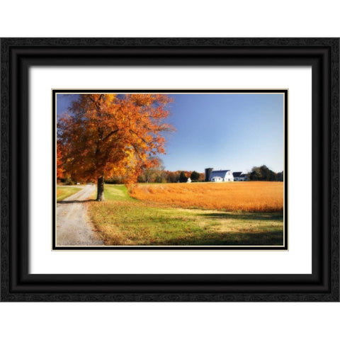 Family Farm I Black Ornate Wood Framed Art Print with Double Matting by Hausenflock, Alan