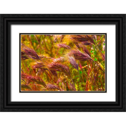 Colorful Brush Black Ornate Wood Framed Art Print with Double Matting by Johnson, George