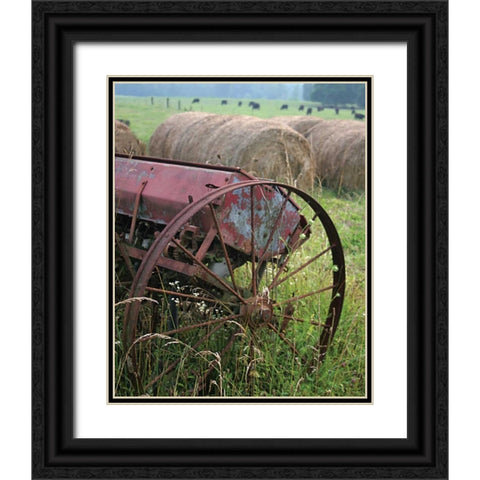 Sewing Seeds I Black Ornate Wood Framed Art Print with Double Matting by Larson, Scott