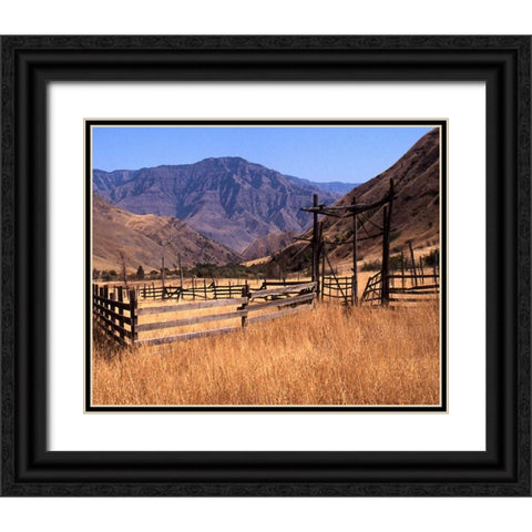Summer Corral II Black Ornate Wood Framed Art Print with Double Matting by Larson, Scott