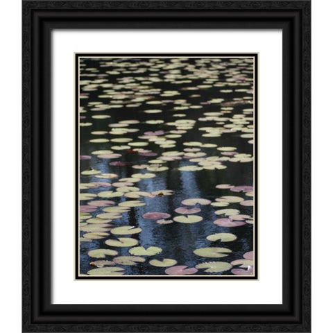 Lily Pond I Black Ornate Wood Framed Art Print with Double Matting by Larson, Scott