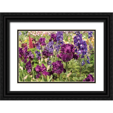 Purple Garden II Black Ornate Wood Framed Art Print with Double Matting by Love, Maureen