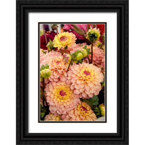 Mauve Dalhia I Black Ornate Wood Framed Art Print with Double Matting by Love, Maureen