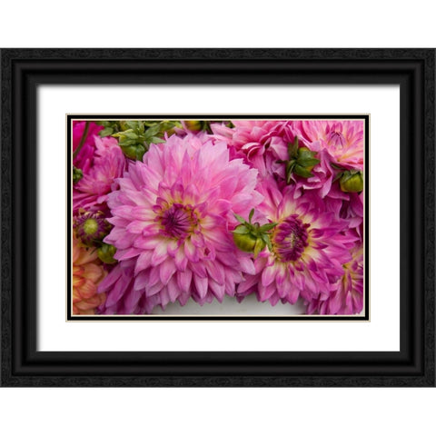 Purple Dalhia I Black Ornate Wood Framed Art Print with Double Matting by Love, Maureen