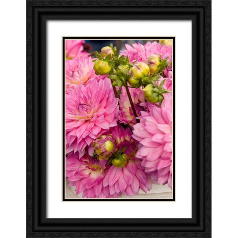 Pink Dalhia I Black Ornate Wood Framed Art Print with Double Matting by Love, Maureen