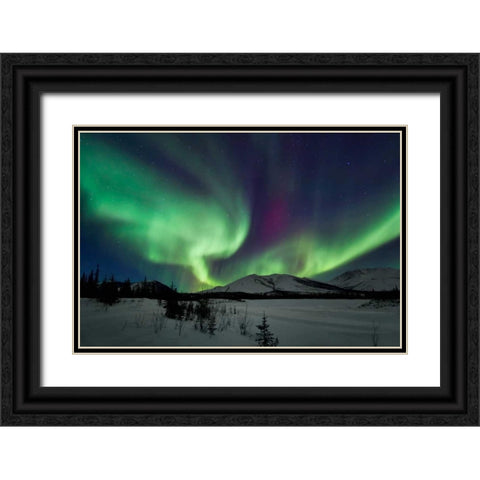 Aurora Borealis I Black Ornate Wood Framed Art Print with Double Matting by Malvin, Larry