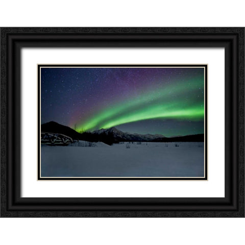 Aurora Borealis II Black Ornate Wood Framed Art Print with Double Matting by Malvin, Larry