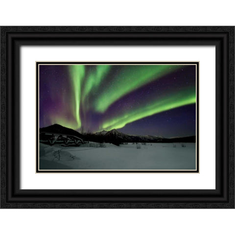 Aurora Borealis IV Black Ornate Wood Framed Art Print with Double Matting by Malvin, Larry