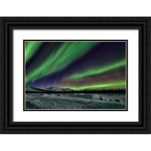 Aurora Borealis V Black Ornate Wood Framed Art Print with Double Matting by Malvin, Larry