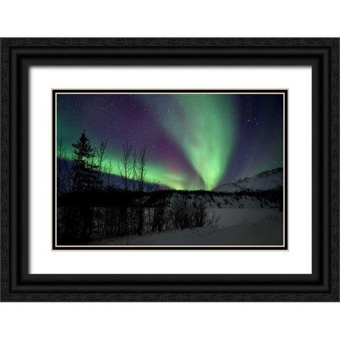 Aurora Borealis VII Black Ornate Wood Framed Art Print with Double Matting by Malvin, Larry
