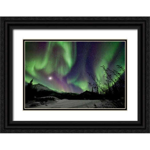 Aurora Borealis VIII Black Ornate Wood Framed Art Print with Double Matting by Malvin, Larry