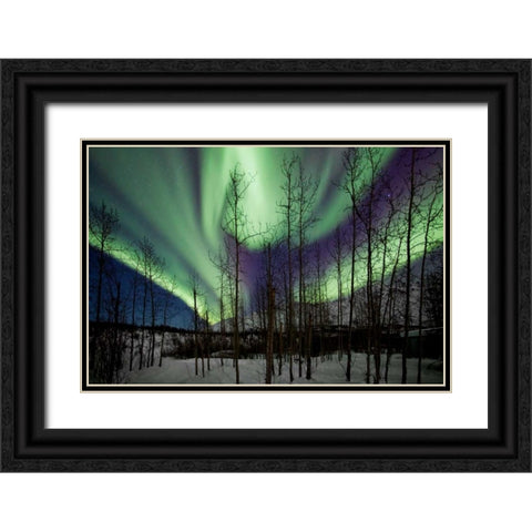 Aurora Borealis IX Black Ornate Wood Framed Art Print with Double Matting by Malvin, Larry