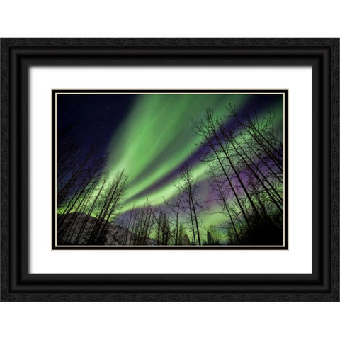Aurora Borealis XI Black Ornate Wood Framed Art Print with Double Matting by Malvin, Larry