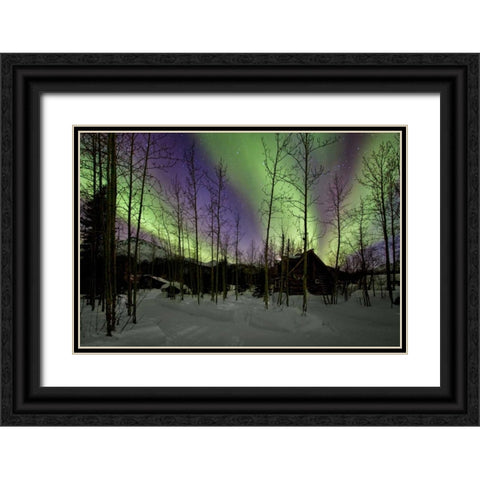 Aurora Borealis XII Black Ornate Wood Framed Art Print with Double Matting by Malvin, Larry