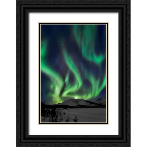 Aurora Borealis XIV Black Ornate Wood Framed Art Print with Double Matting by Malvin, Larry