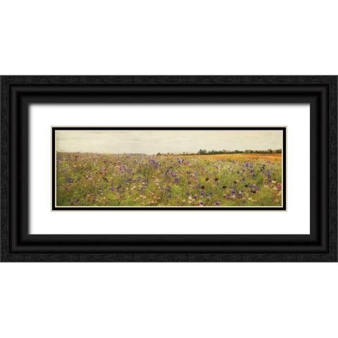 Wildflower Field I Black Ornate Wood Framed Art Print with Double Matting by Melious, Amy