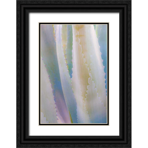 Agave IV Black Ornate Wood Framed Art Print with Double Matting by Mahan, Kathy