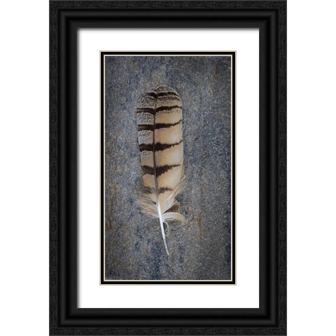Feather Portrait IV Black Ornate Wood Framed Art Print with Double Matting by Mahan, Kathy