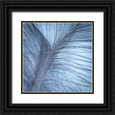 Downy Feather I Black Ornate Wood Framed Art Print with Double Matting by Mahan, Kathy