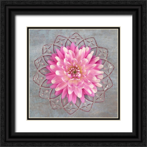 Pink Dahlia Black Ornate Wood Framed Art Print with Double Matting by Mahan, Kathy