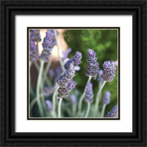 Lavender II Black Ornate Wood Framed Art Print with Double Matting by Millet, Karyn