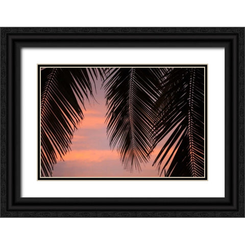 Palms at Sunset Black Ornate Wood Framed Art Print with Double Matting by Millet, Karyn