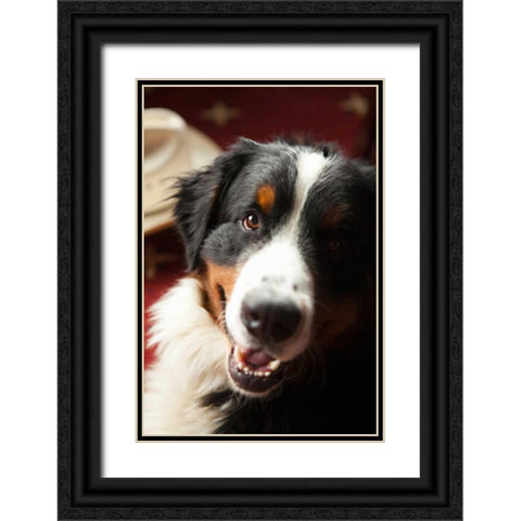Ranch Dog Black Ornate Wood Framed Art Print with Double Matting by Millet, Karyn