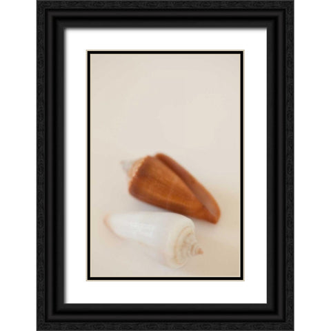 Shell by Shell I Black Ornate Wood Framed Art Print with Double Matting by Millet, Karyn