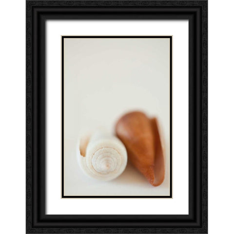 Shell by Shell II Black Ornate Wood Framed Art Print with Double Matting by Millet, Karyn