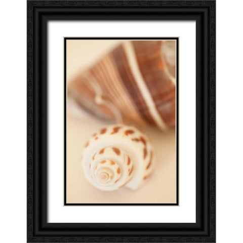 Shell by Shell III Black Ornate Wood Framed Art Print with Double Matting by Millet, Karyn