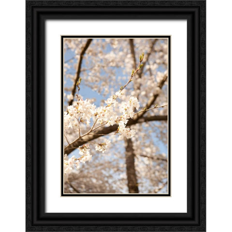 In Bloom I Black Ornate Wood Framed Art Print with Double Matting by Millet, Karyn