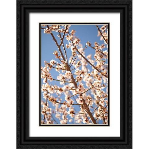 In Bloom VII Black Ornate Wood Framed Art Print with Double Matting by Millet, Karyn