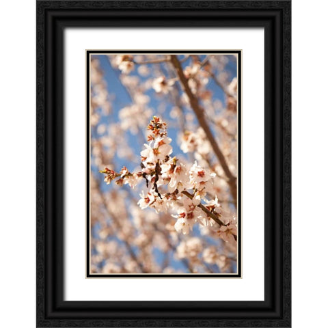 In Bloom VIII Black Ornate Wood Framed Art Print with Double Matting by Millet, Karyn