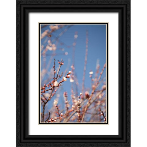 In Bloom IX Black Ornate Wood Framed Art Print with Double Matting by Millet, Karyn