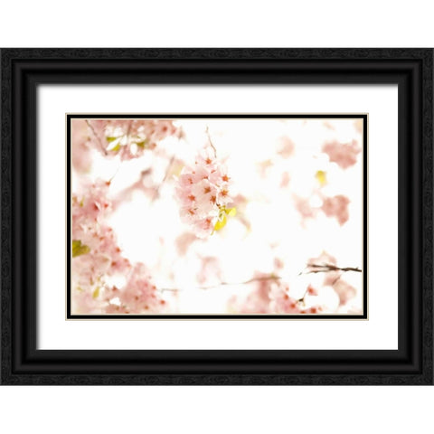 In Bloom XVII Black Ornate Wood Framed Art Print with Double Matting by Millet, Karyn