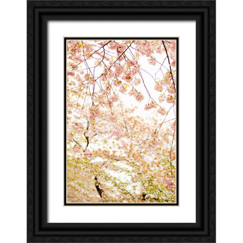 In Bloom XVIII Black Ornate Wood Framed Art Print with Double Matting by Millet, Karyn