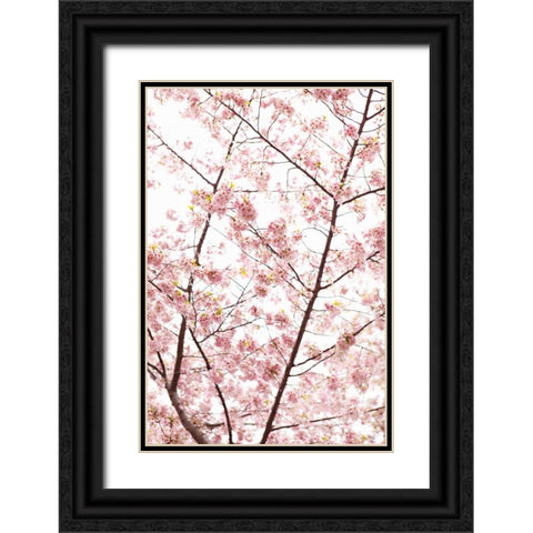 In Bloom XX Black Ornate Wood Framed Art Print with Double Matting by Millet, Karyn