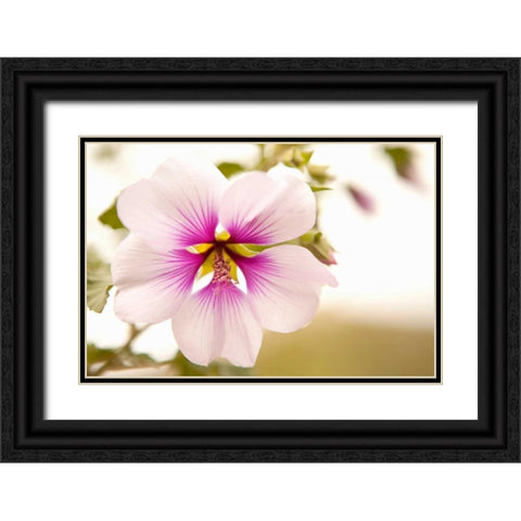 Macro Bloom I Black Ornate Wood Framed Art Print with Double Matting by Millet, Karyn